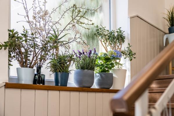 Bydlet jako... domácí kutil