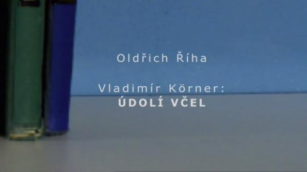 Čtenářský deník... Vladimír Körner: Údolí včel