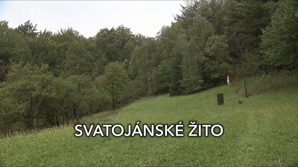 Dokument Svatojánské žito