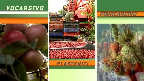 Poticaj