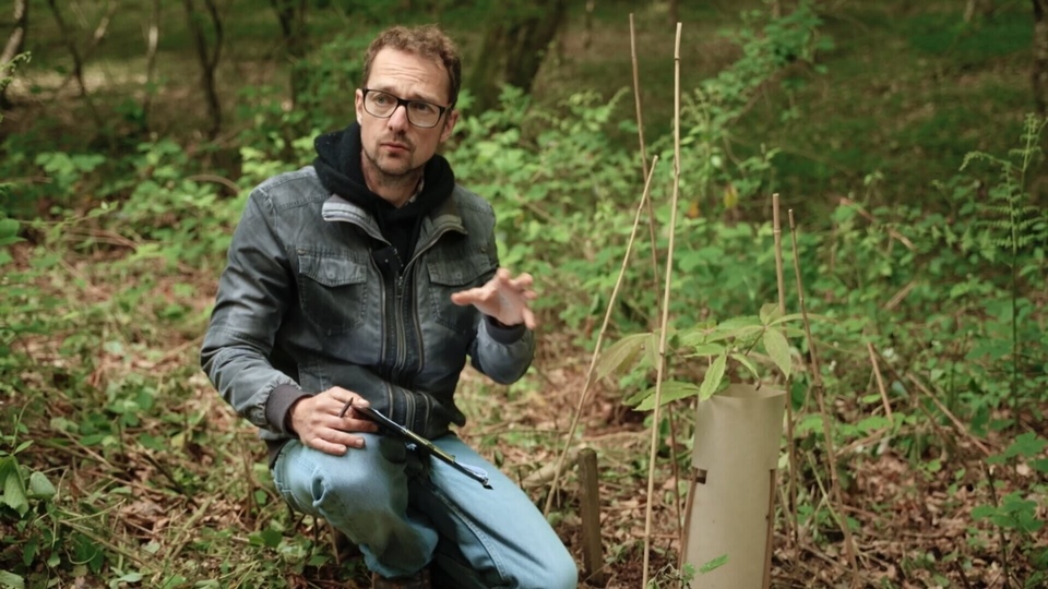 Dokument La foret gourmande