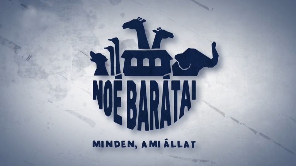 Noé barátai