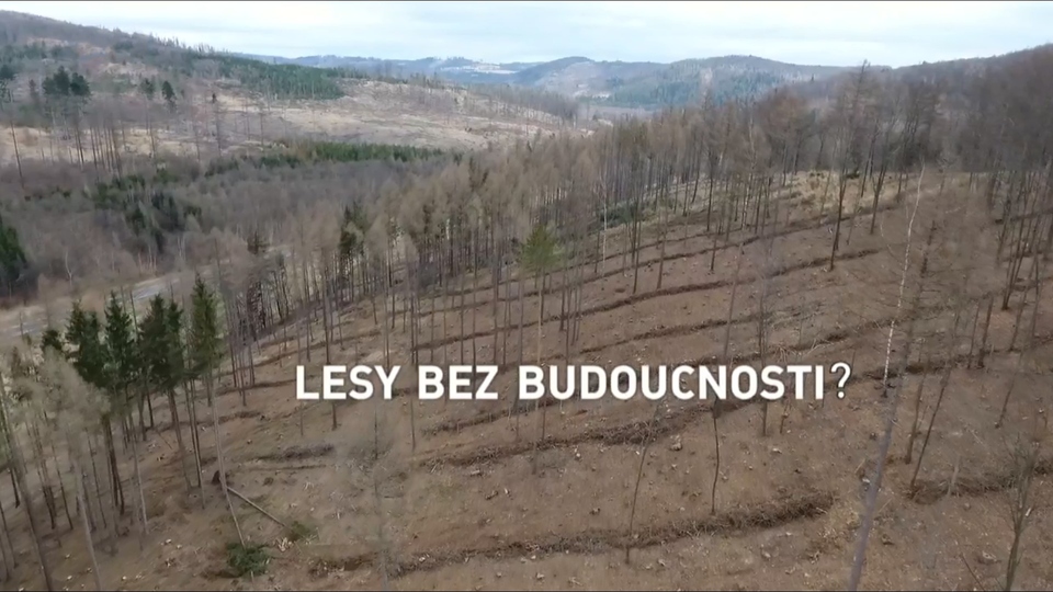 Документ Lesy bez budoucnosti?