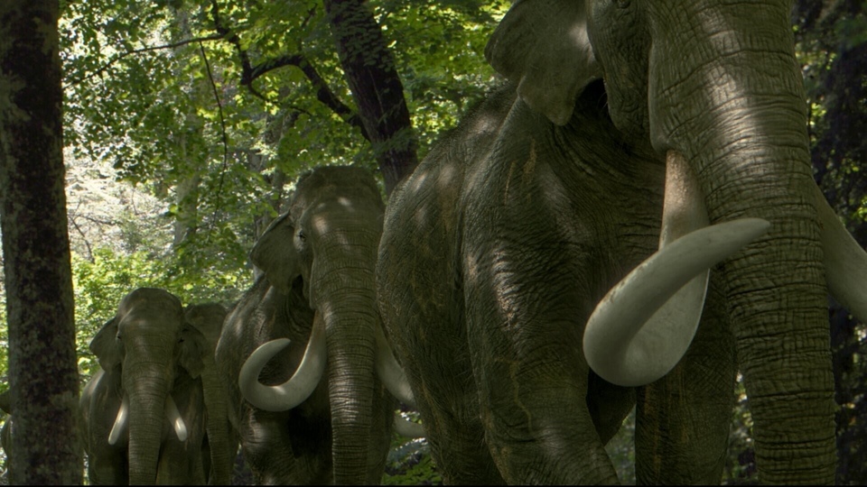 Documentary Dans les pas du mammouth géant
