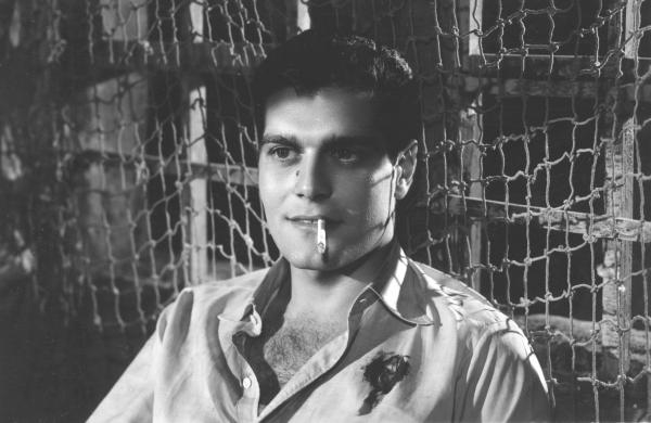 Omar Sharif, věčný kočovník