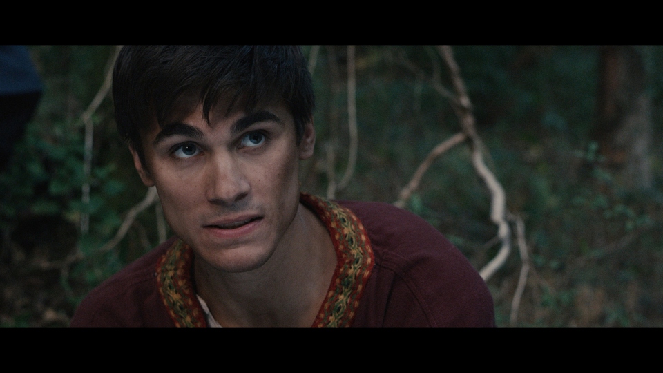 Dokument Mládí Viléma Dobyvatele