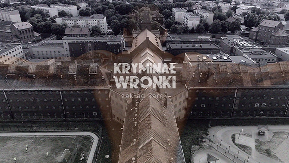 Dokument Kryminał Wronki