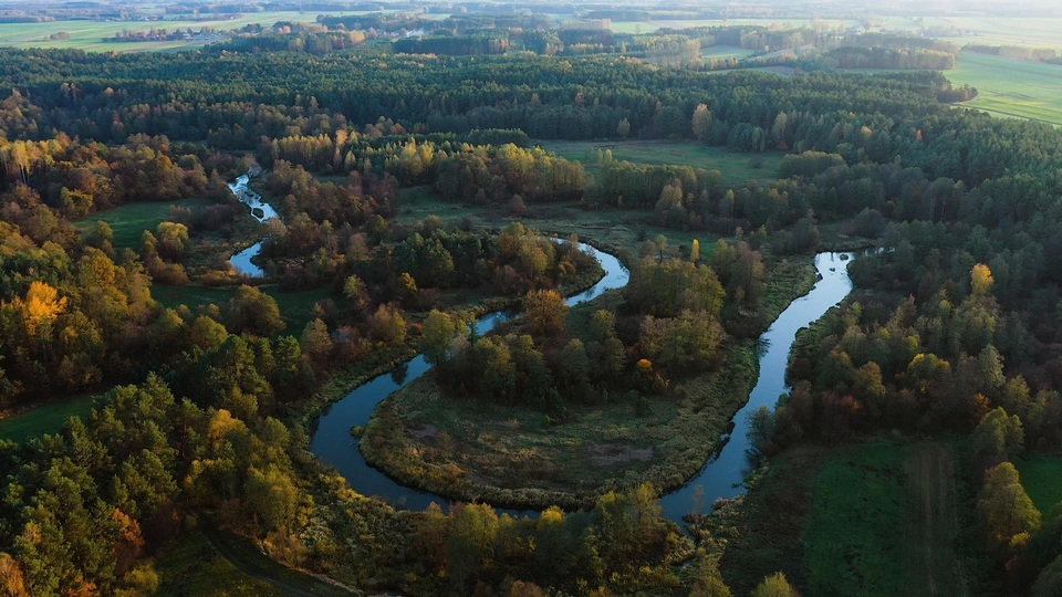 Dokument Królestwo mokradeł