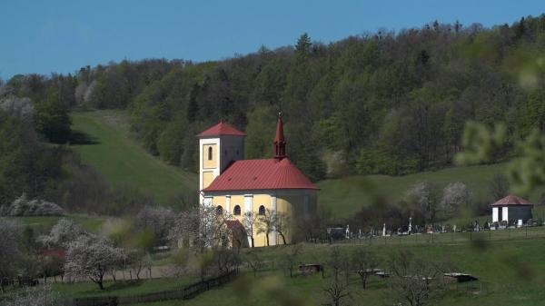 Davidové z Lukavce
