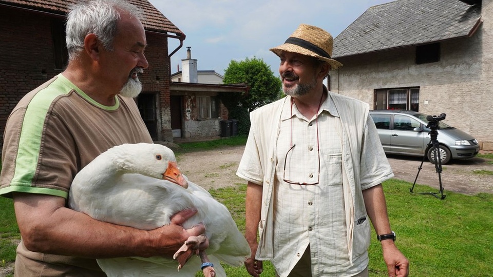 Documentary Není husa, jako husa