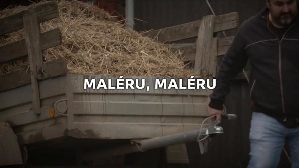Maléru, maléru