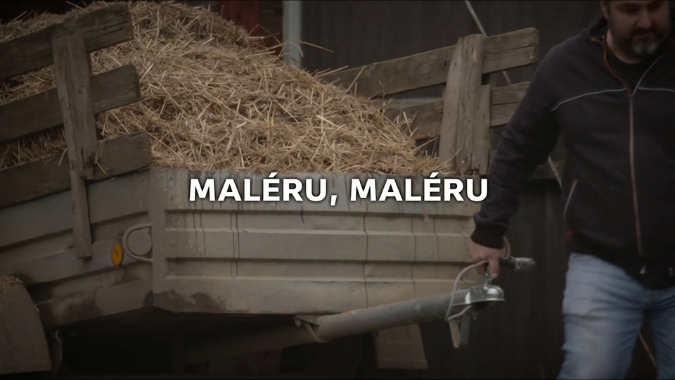 Documentary Maléru, maléru