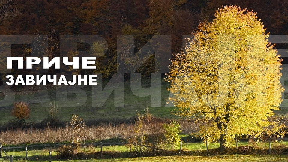 Dokumentarci Priče zavičajne Tihomira Nestorovića
