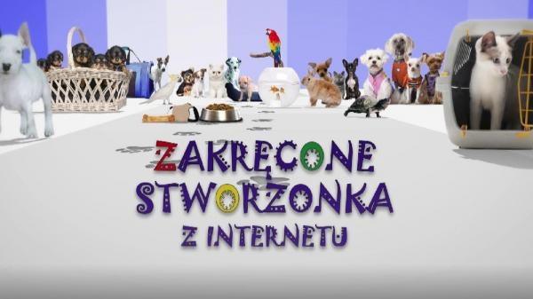 Zakręcone stworzonka z internetu
