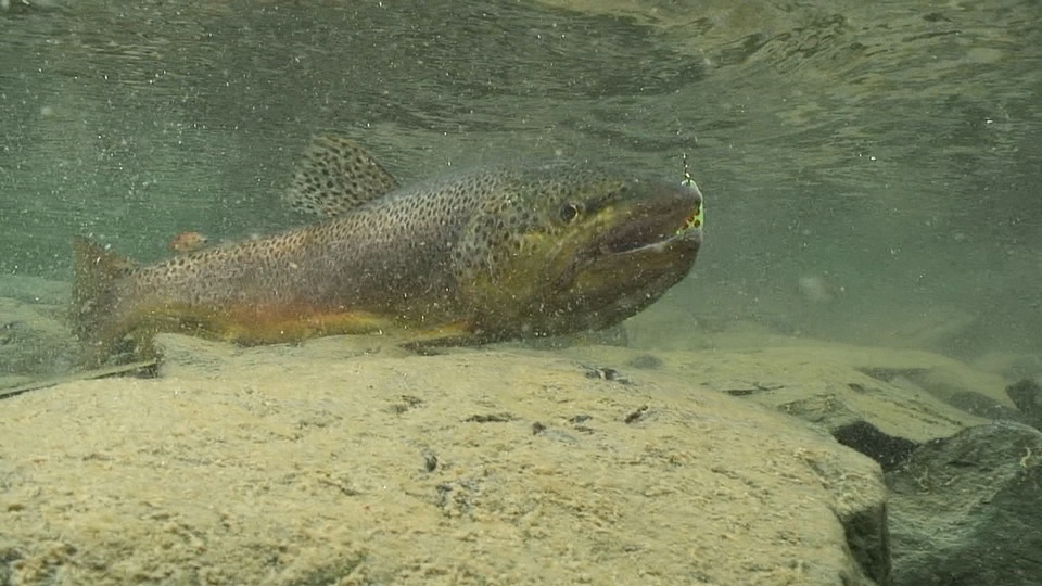 Dokument Tamás Hodula - Pilismarótská dobrodružství