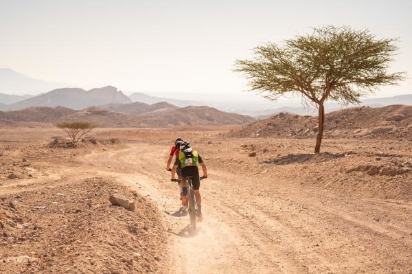 TITAN DESERT SERIES - Neom