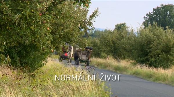 Normální život