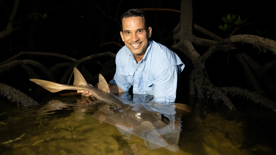 Dokumentarci Rođeni da opstanu