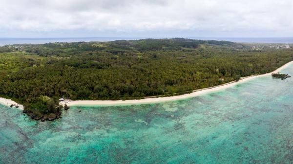 Ura, sauver l'oiseau sacré des australes