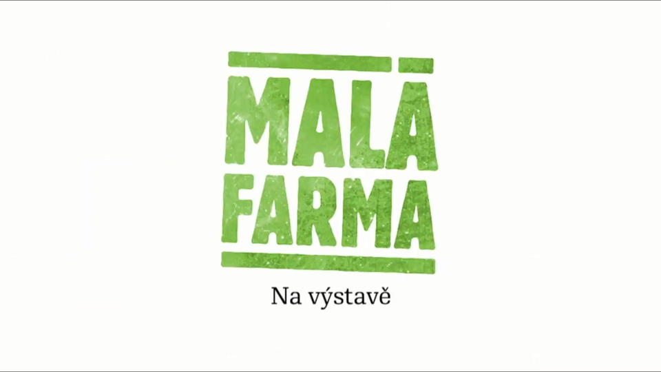 Dokument Na výstavě
