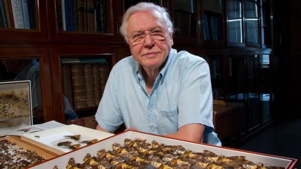 David Attenborough: Čuda prirode