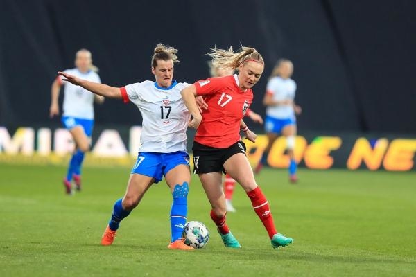 Fotbal: Česko - Bosna a Hercegovina