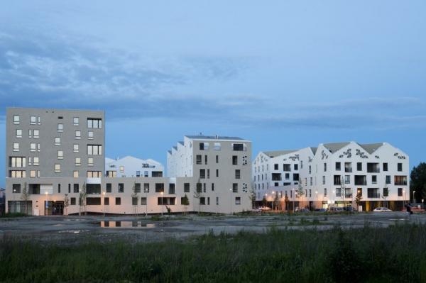 Stavba roka