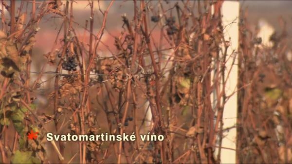 Svatomartinské víno