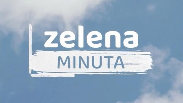 Zelena minuta