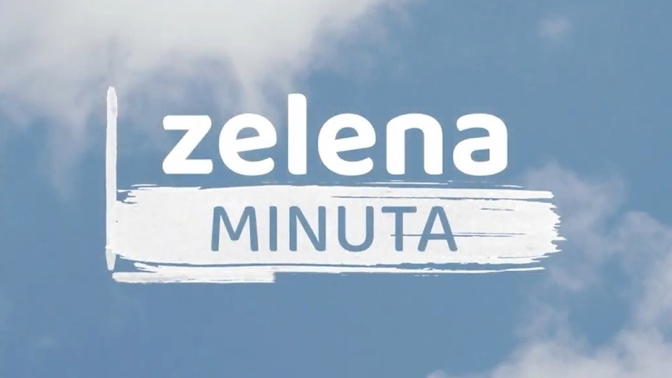 Документ Zelena minuta