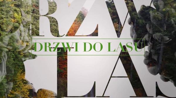 Drzwi do lasu