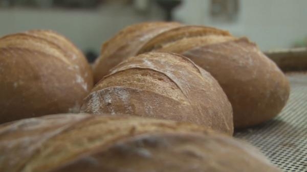 Chléb náš vezdejší