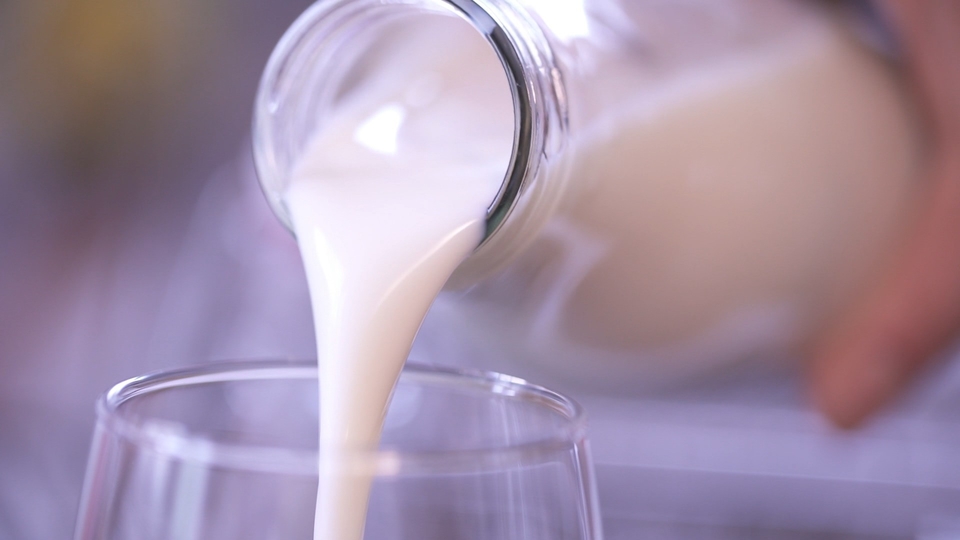 Produits laitiers, faut-il s'en passer ?