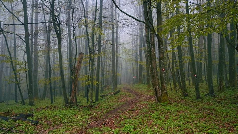 Dokumentarci Nepoznate bitke Domovinskog rata