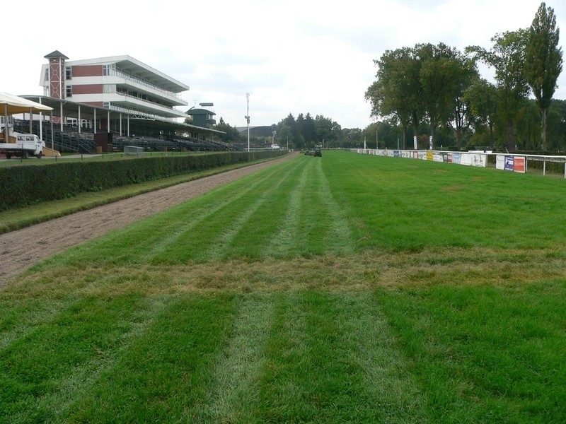 Dostihy: Před Velkou pardubickou