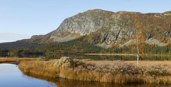 Podmladak oluje: Iz mraka