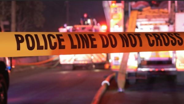 Paparazzi, lovci senzací