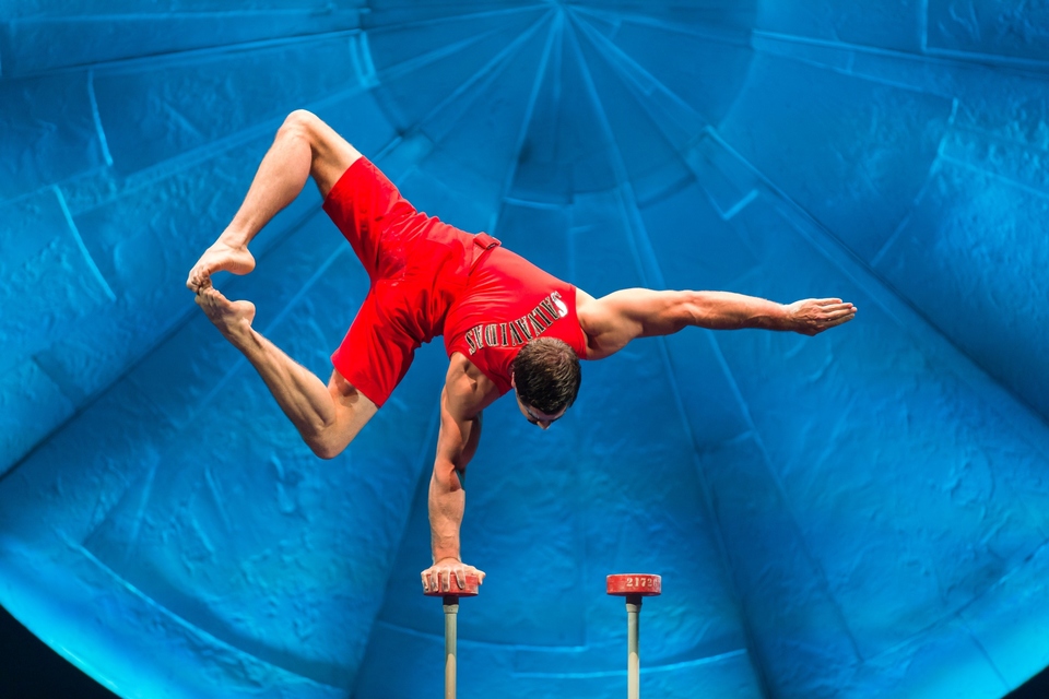 Cirque du Soleil: Luzia