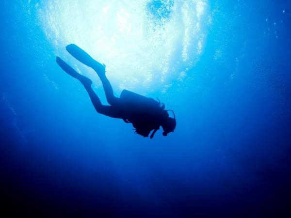 More than a Dive
