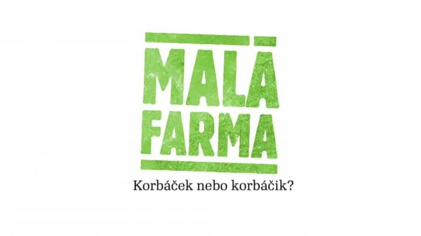 Korbáček nebo korbáčik?
