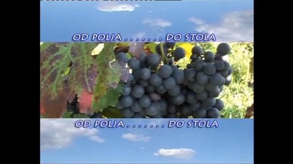 OD POLJA DO STOLA