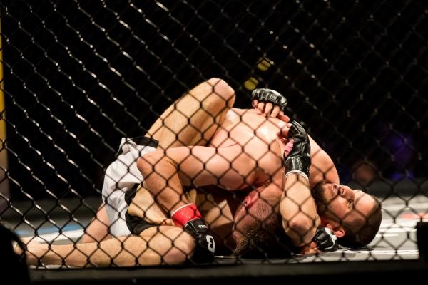 We Love MMA