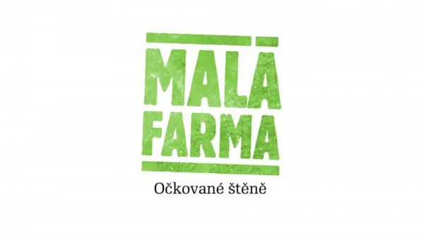 Očkované štěně