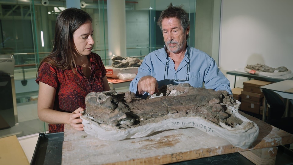 Dokument Aux origines des mammiferes, le monde avant les dinosaures