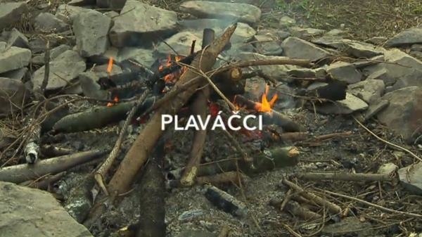 Plaváčci