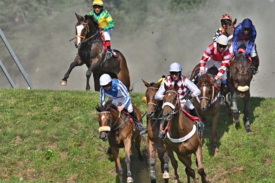 Dostihy: 131. Velká pardubická se Slávia pojišťovnou