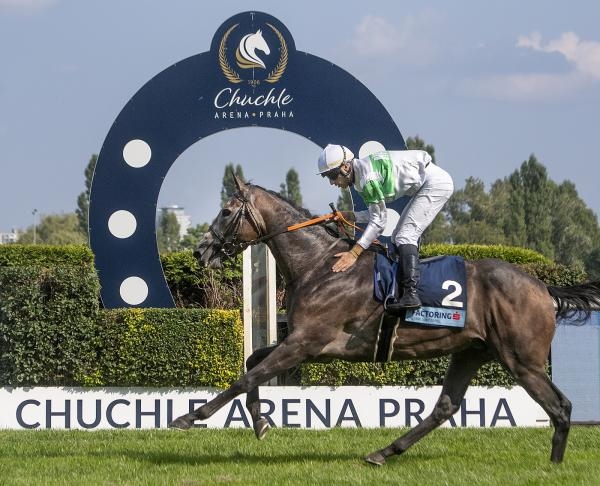 Dostihy: St Leger