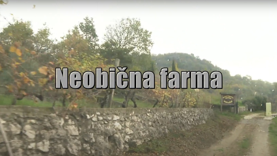 Dokumentarci Neobična farma