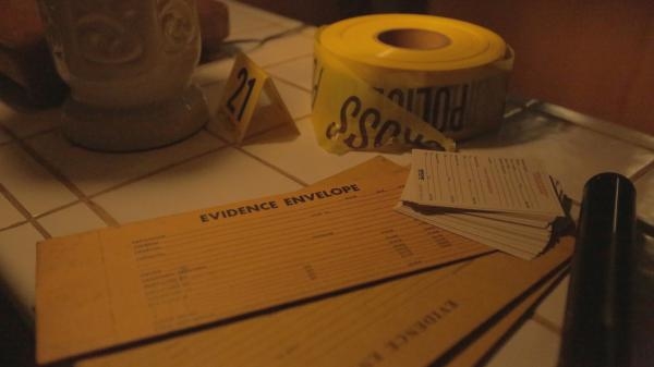 Časopis „Pipl" istražuje