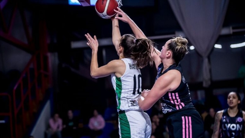 Basketbal: Žabiny Brno - Basket Landes